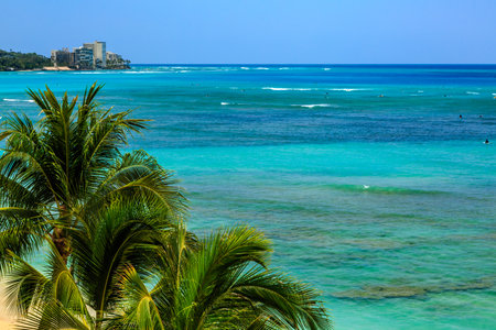 A beautiful blue ocean with palm trees in the background. The palm trees are tall and green, and the ocean is calm and clear. The scene is peaceful and relaxingの写真素材