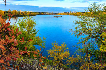 A beautiful view of a river with trees and leaves on the ground. The water is calm and blueの写真素材