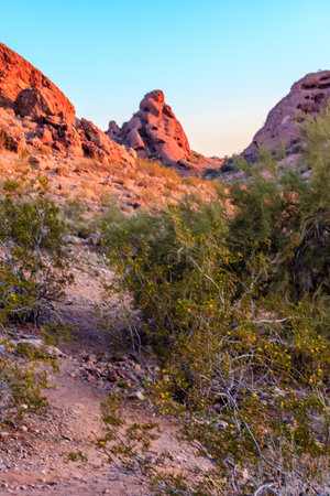 A rocky desert landscape with a path leading through it. The sun is setting, casting a warm glow over the areaの写真素材
