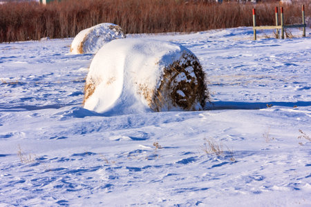 A hay ball is covered in snow. The snow is white and the hay ball is brownの写真素材