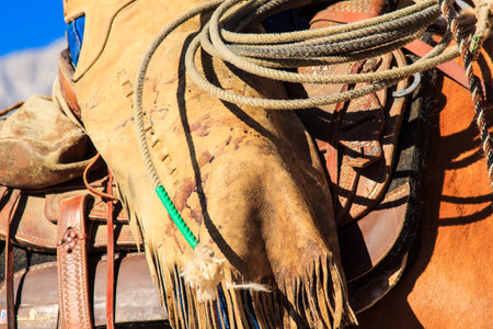 A brown leather strap with green beads on it is tied to a horse's tail. The strap is frayed and worn, giving the image a rustic, old-fashioned feelの写真素材