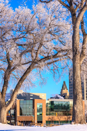 A building with a clock tower and a large window. The building is surrounded by trees with snow on themの写真素材