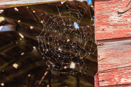 A spider web is seen in the corner of a red building. The web is full of spider silk and is very intricateの写真素材