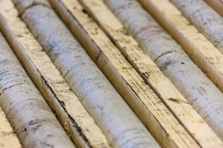 A row of wooden boards with a few of them having writing on them. The writing is faded and the boards are weatheredの写真素材