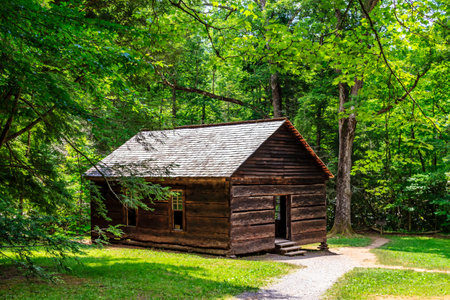 A small, old log cabin sits in a wooded area. The cabin is surrounded by trees and has a shingled roof. The cabin appears to be abandoned, with no one insideの写真素材