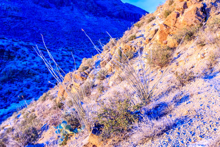 A rocky hillside with a few plants growing on it. The plants are sparse and the hill is barrenの写真素材