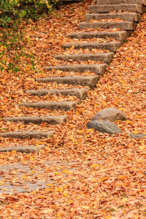 A staircase covered in autumn leaves. The leaves are scattered all over the steps, creating a beautiful and serene atmosphere. Concept of tranquility and peacefulnessの写真素材