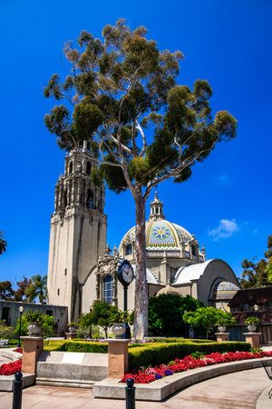 A large church with a clock tower and a tree in front of it. The sky is blue and the sun is shiningの写真素材
