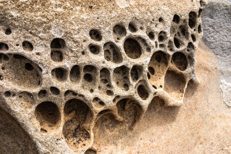 A large rock with many holes in it. The holes are of varying sizes and are scattered throughout the rock. Scene is one of ruggedness and natural beauty, as the rock's unique textureの写真素材