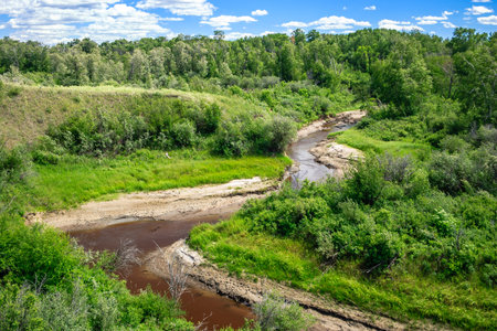 A river with a muddy brown color. The water is flowing through a forest. The trees are green and lushの写真素材
