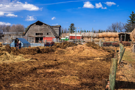 A farm with a red barn and a red truck. The barn is old and the truck is parked in front of it. The farm is surrounded by a fence and there are several animals in the areaの写真素材