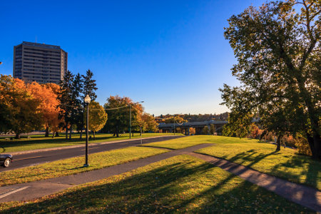 A park with a bridge in the background and a tall building in the distance. The sky is blue and the sun is shiningの写真素材