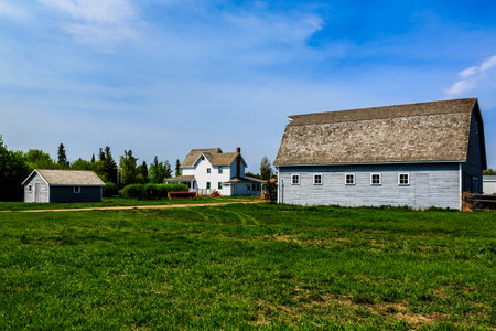 A farm with a barn and a house. The barn is old and the house is white. The sky is blue and the grass is greenの写真素材