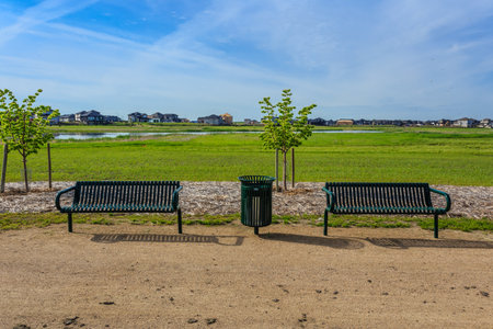 A park with two benches and a trash can. The benches are empty and the trash can is empty. The park is surrounded by trees and grassの写真素材