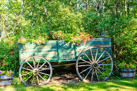 A green wagon with flowers in it is sitting in a grassy area. The wagon is old and has a rustic feel to it. The flowers are in potsの写真素材