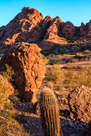 A large rock sits in front of a cactus in a desert. The rock is large and brown, and the cactus is small and green. The scene is peaceful and serene, with the sun shining down on the desert landscapeの写真素材