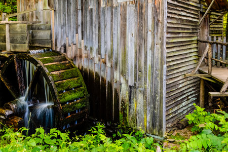 A wooden building with a water wheel on the side. The water wheel is surrounded by green plants and the building is oldの写真素材