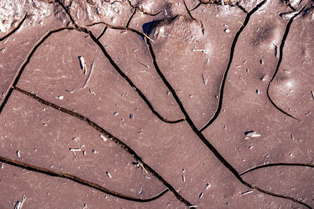 A cracked and dried up area of land with a few trees in the background. Scene is desolate and...