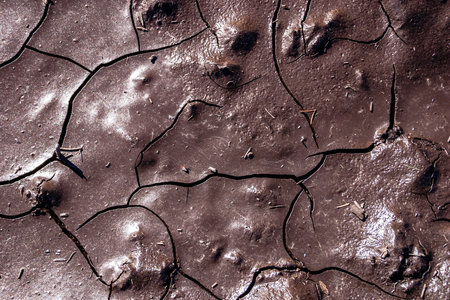 A cracked and dried up ground with a lot of dirt and debris. The ground appears to be in a state of...
