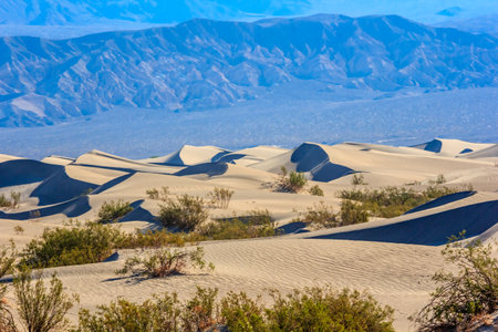 A desert landscape with a blue sky in the background. The sky is clear and the sun is shining brightly. The sand dunes are scattered throughout the area, with some of them being taller than othersの写真素材