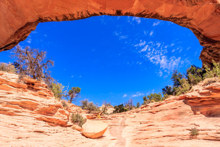 Natural Bridges National Monument is a U.S. National Monument located in Utah.  Owachomo is the smallest and thinnest of the three natural bridges here and is commonly thought to be the oldest.の写真素材