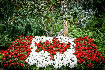 A garden with a white and red flag in the center. The flowers are red and white, creating a beautiful display. The garden is filled with various types of flowersの写真素材