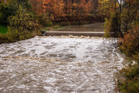 A river is flowing with water and leaves. The water is brown and the leaves are orange