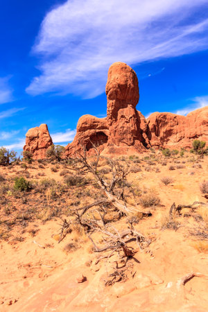A desert landscape with a large rock formation and a lone tree. The sky is clear and blue, and the sun is shining brightly. Concept of solitude and tranquilityの写真素材