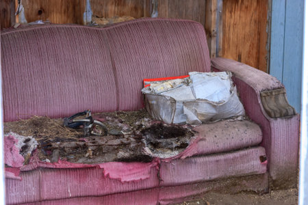 A couch is covered in dirt and has a pile of trash on it. The couch is in a room with a blue wallの写真素材