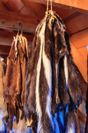 A bunch of fur hanging from a rafter. The fur is brown and whiteの写真素材