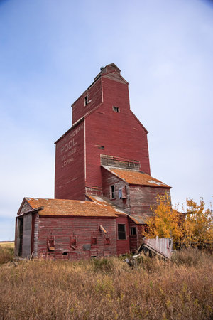 A red building with a slanted roof and a yellow tree in front of it. The building is old and abandonedの写真素材