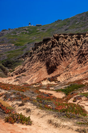 A rocky hillside with a lighthouse in the distance. The hillside is covered in grass and plants, and the sky is clear and blueの写真素材