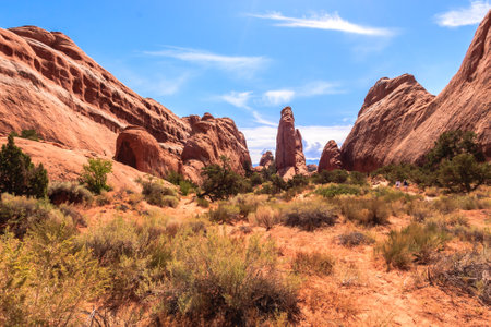 A desert landscape with a few trees and a large rock formation. The sky is clear and the sun is shining brightlyの写真素材