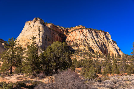 A mountain range with a blue sky in the background. The mountains are covered in trees and the sky is clearの写真素材