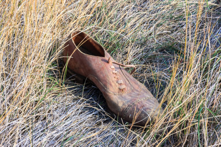 A shoe is laying on the ground in a field of tall grass. The shoe is old and worn, and it is a boot. The grass is dry and brown, and the field is empty. The image has a somewhat eerieの写真素材