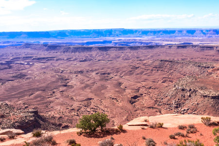 A desert landscape with a tree in the foreground. The sky is blue and the sun is shiningの写真素材