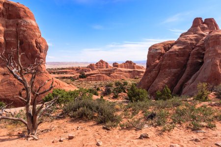 A desert landscape with a lone tree in the foreground. The sky is clear and the sun is shining brightlyの写真素材