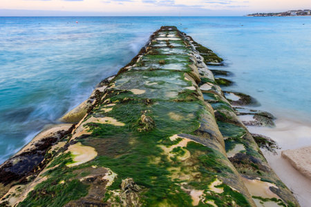 A rocky beach with a long pier covered in green moss. The water is calm and the sky is a mix of blue and pinkの写真素材