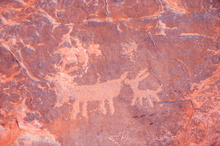 A rock with a drawing of two deer on it. The drawing is very detailed and it looks like it was made a long time agoの写真素材