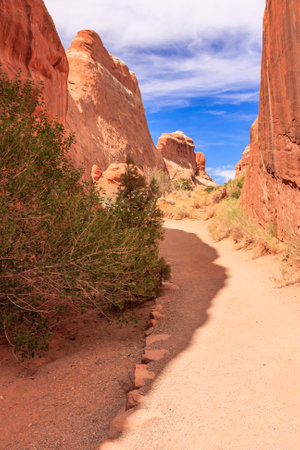 A path winds through a canyon with a few trees along the way. The sky is blue and the sun is shining brightlyの写真素材