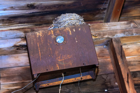 A bird's nest is sitting on a rusty box. The box is old and has a rusted appearance