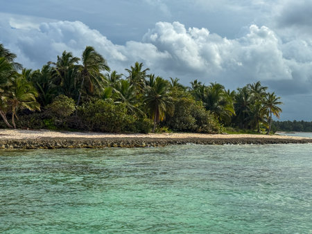 Beautiful beach with palm trees and a calm ocean. The sky is cloudy, but the water is still and clear. The scene is peaceful and relaxing, perfect for a day at the beachの写真素材