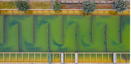 Green and yellow waterway with a fence in the background. The waterway is filled with algae.