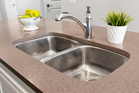 Sink with two basins sits on a countertop. A potted plant sits next to the sink