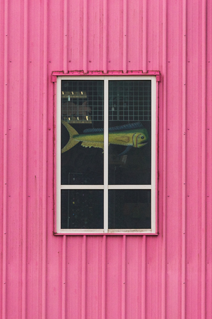 Pink and white windows