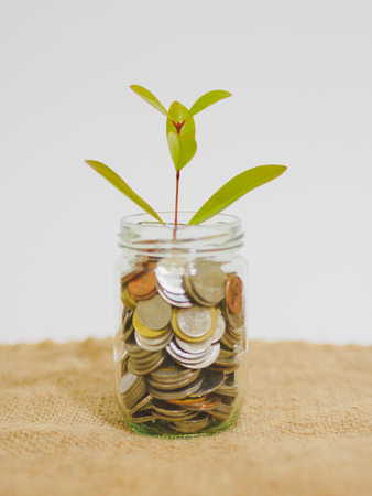 abstract money saving small baby tree with glass jar Coins on sackcloth backgroundの写真素材