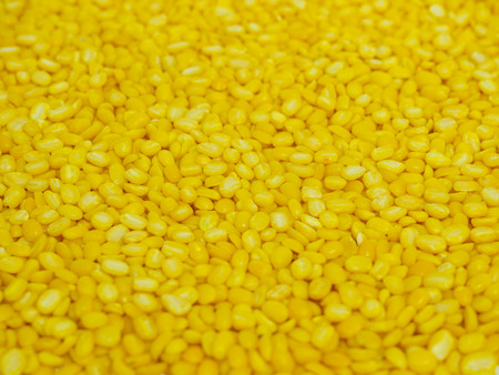 yellow beans on backgroundの写真素材