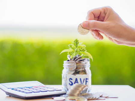 abstract money saving small baby tree with glass jar Coins with calculator on table with green tree backgroundの写真素材