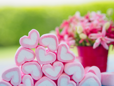 Closeup of sweet marshmallow in the shape of heart on wooden plate and flower at background. Concept about love and relationship. (Soft Style for Background)の写真素材