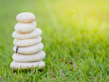 Black ant climbing Balance Stones stacked to pyramid in the soft green background to Spa ideas design or freedom and stability concept on rocks.の写真素材